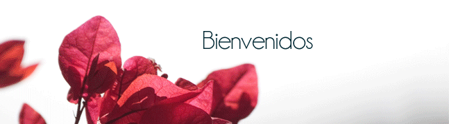 Bienvenidos